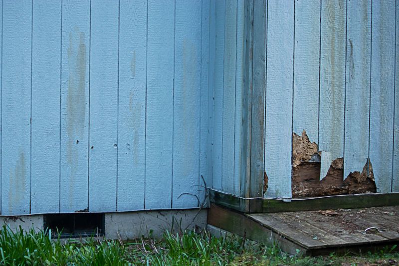 Inspecting Siding for Damage